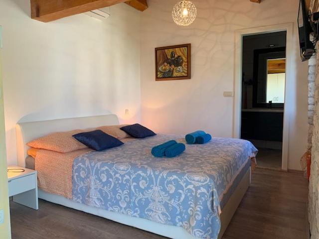Manovelova Hiza Villa